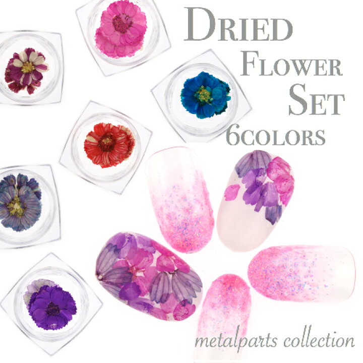 楽天市場 最終日 半額ｸｰﾎﾟﾝ ネイル パーツ ネイルパーツ 花 ドライ フラワー 押し花 春 花柄 簡単 セルフ デザイン 初心者 プロ 安い おすすめ アート用品 ドライフラワー 6色 セット Clara Nail クララ ネイル