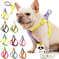 ハーネス リード 2点セット 犬 ハーネスリード セット カラフル おしゃれ かわいい 胴輪 犬用 ドッグ 小…