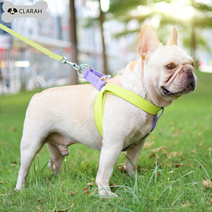 楽天市場 ハーネス リード 犬 カラフル ハーネスリード セット 胴輪 犬用 ドッグ 小型犬 中型犬 大型犬 さんぽ 散歩 ネコポス Clarah 楽天市場 ハーネス リード 犬 カラフル ハーネスリード セット 胴輪 犬用 ドッグ 小型犬 中型犬 大型犬 さんぽ 散歩 ネコポス Clarah