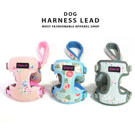 ハーネス リード 犬 ハーネスリード セット 胴輪 犬用 ドッグ 小型犬 おさんぽ お散歩 お出かけ 可愛い 花柄 フラワー ネコポス