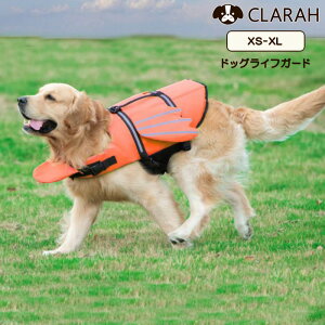 y12/4 20:00`4H10%OFFN[|zCtWPbg p hbO ybg XCEFA  ~ 