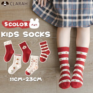 LbY C 5Zbg  bh  ̎q \bNX  N[\bNX ۈ牀 ct w Aw c lR|X