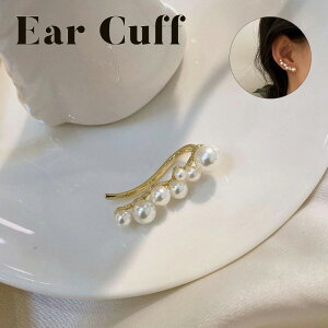 C[Jt p[ p[C[Jt Vv p[C[Jt CO Jt CsAX fB[X  ؚ Ԃ K[[ tH[} OL hX JWA lR|X