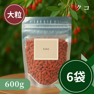 yz e 6܃Zbg  NR̎ mX̎ NR̂ 嗱 600g   hCt[c NHi X[p[t[h  {ia Ɩp ޗ َq P[L p e GCWOP