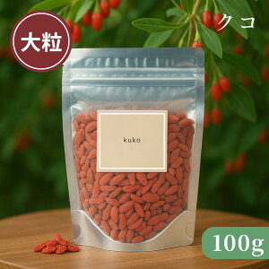 yz NR̎ mX̎ NR̂ 嗱 100g   hCt[c NHi X[p[t[h   {ia Ɩp ޗ َq P[L p e GCWOPA  u蔞 u 