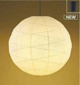 RCY~ ay_gCg 900 LEDidFj AP51061