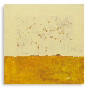 DICLASSE �L�����o�X 09 �X�s���`���A�� �l�C�`���[ �C�G���[(��n) AD1206YE