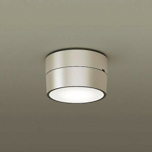 パナソニック 軒下用シーリングライト プラチナ LED(温白色) 拡散 XLGE5108CE1