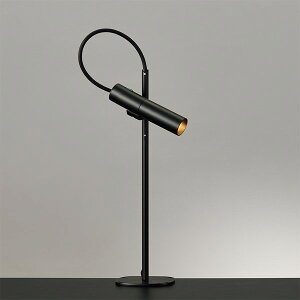 ZCg RcƖ fXNCg ZR-30B-N Torch(g[`) ubN LED F wK ׋ ItBX  ڂɗD