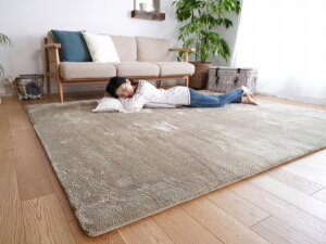 �y���[�J�[�����z 190x190cm�����` 2�� ���O ���r���O �}�b�g ������� ���g�z�b�g�J�[�y�b�g �􂦂� MS-305-190X190-FGY EX�}�C�N��2�w�E���^�����O �t�F�U�[�O���[ �g�V�V�~�Y