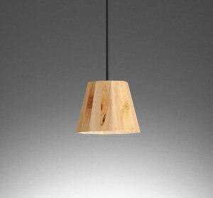 �I�[�f���b�N ���[���p�y���_���g���C�g �w LED�i�����F�j OP252942NR