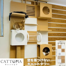 【メーカー直送】 CATTOPIA 2連結 A-123 工事不要 キャットタワー キャットウォーク 猫カフェ 突っ張り式 木製 おしゃれ