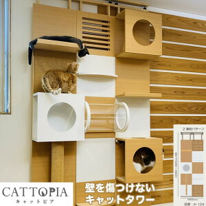 y[J[z CATTOPIA 2A ܂Ƃ_t A-124 Hsv Lbg^[ LbgEH[N LJtF ˂莮 ؐ 