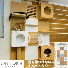 【メーカー直送】 CATTOPIA 3連結 トンネル付き A-244 工事不要 キャットタワー キャットウォーク 猫カフェ 突っ張り式 木製 おしゃれ