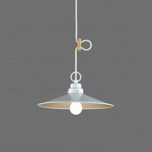 㓡Ɩ Flower Series 吳} a g ^y_gCg J~[ vʔ GLF-3421X