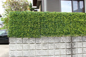 y[J[z J rOAEgV[Y lHA AO[tFX {bNXEbh TAN-748