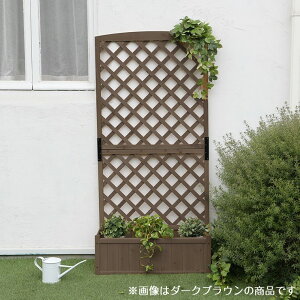 y[J[z J rOAEgV[Y eBXtv^[{bNX _[NuE TAN-958(DBR)