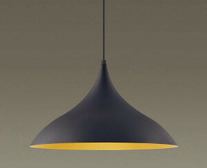 �����v�ʔ� �y���_���g���C�g LGB15493 �p�i�\�j�b�N