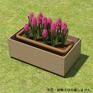 y[J[z lH؃v^[Jo[ AbVuE `@^   O 4524804140145