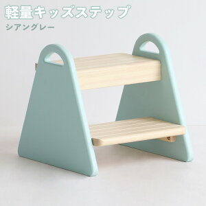 y[J[z q qǂ Xebv ݑ r F-line Kids Step tina VAO[ ILS-3429 sꊔ