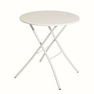 y[J[z FIAM VI 670 e[u zCg 4582255104574 a6773cm ܂肽