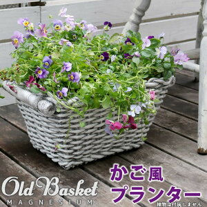 y[J[z  O  }OlVEv^[ Old Basket(I[hoXPbg)zCg BSPL-400WHT