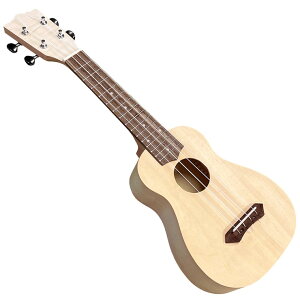 y[J[z GECKO EN \vm 21C` gZbg UDIY21 S y 킢 Lbg Fh