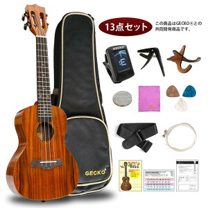 y[J[z GECKO EN RT[g 23C` RA GU9-KOA S҃Zbg y