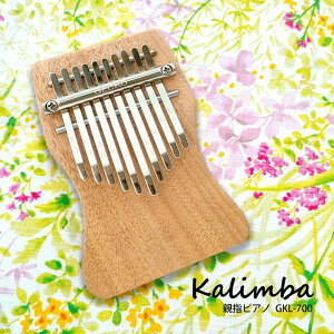 y[J[z GECKO Jo nhCh ~j GKL-700NA S҃Zbg y 킢  Fh VRؐ yWt