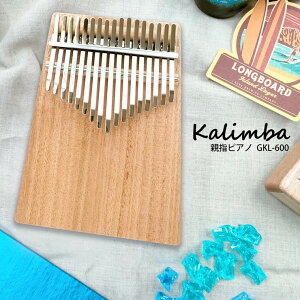 y[J[z GECKO Jo nhCh GKL-600NA S҃Zbg y 킢  yWt