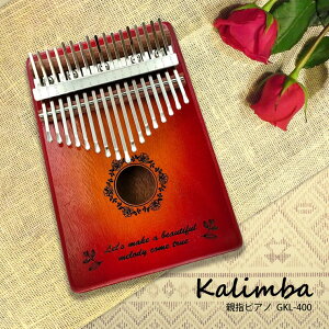 y[J[z GECKO Jo [Y P[Xt GKL-400BR S҃Zbg y 킢  yWt