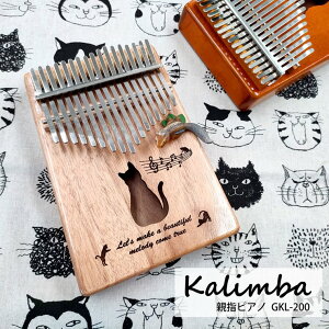 y[J[z GECKO Jo Lbg i` GKL-200NA S҃Zbg y 킢  yWt