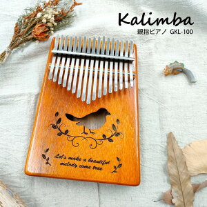 y[J[z GECKO Jo o[h uE GKL-100BR S҃Zbg y 킢  yWt