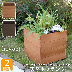 y[J[z  O  ؐ v^[ _[NuE 2g hiyori 36 DEP-36-2P-DBR g