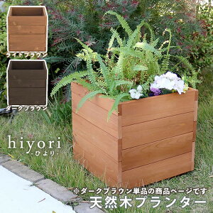 y[J[z  O  ؐ v^[ hiyori _[NuE Pi DEP-36DBR g