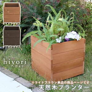 y[J[z  O  ؐv^[ hiyori CguE Pi DEP-36LBR g
