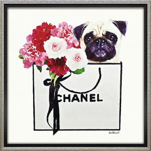 G ŉ z  I}[W LoXA[gupO VbsOv XNGAM BC-12102