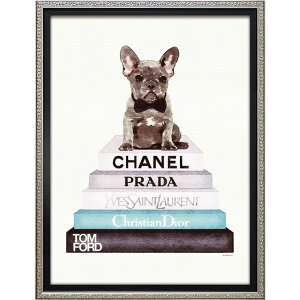 G ŉ z  I}[W LoXA[gueB[ tu ubNX^bNv STCY BC-07061