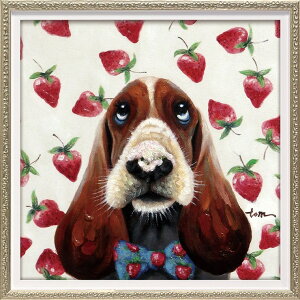 G ŉ z  ICyCgA[gumv STCY OP-07051