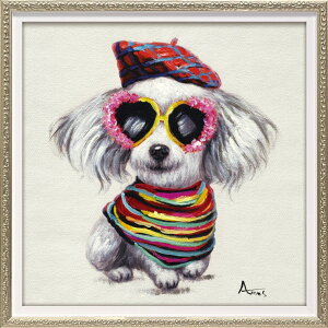 G ŉ z  ICyCgA[gu{uwA[v STCY OP-07043