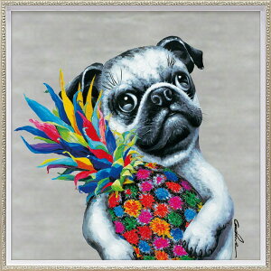 G ŉ z  ICyCgA[guJtpCv MTCY OP-18043