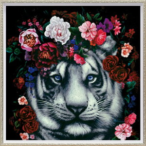 G ŉ z  ICyCgA[gut[ ^CK[v MTCY OP-18048