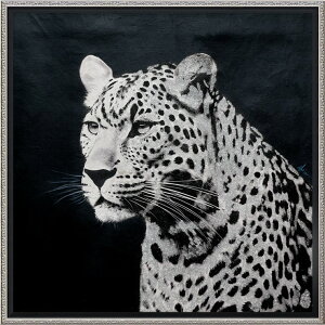 G ŉ z  ICyCgA[guWFbgubNv OP-18075