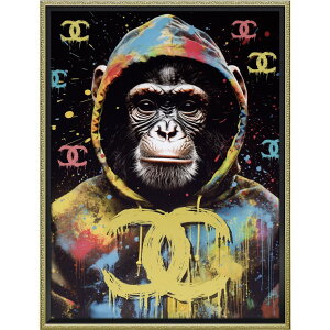 G ŉ z  I}[W LoXA[gugfB wCfv BC-20004