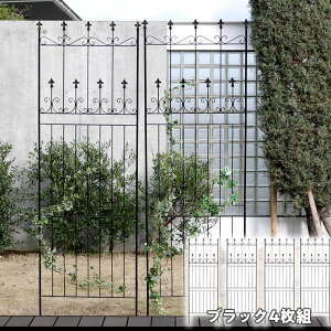 y[J[z O   I[hVg[tFX nC^Cv4g ubN  OC001H-4P-BLK ډB  AeB[N