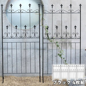 y[J[z O   I[hVg[tFX [^Cv4g ubN  OC002L-4P-BLK ډB  AeB[N