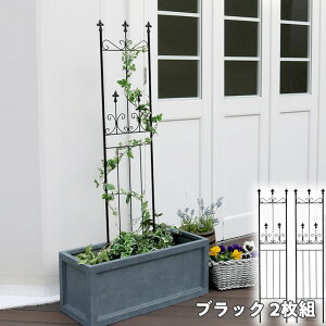 y[J[z O   I[hVg[tFX X^Cv2g ubN OC003SL-2P-BLK ډB  AeB[N