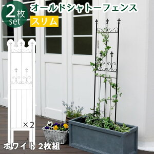 y[J[z O   I[hVg[tFX X^Cv2g zCg OC003SL-2P-WHT ډB  AeB[N