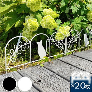 y[J[z O   ACAtFX ~jTCY L 20g zCg NK7238-20P-WHT ډB  L 킢