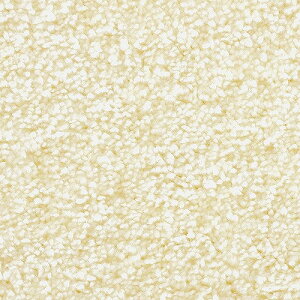 y[J[z J[ybg O }bg 190×290cm 4 GN EhERہEzbgJ[ybgΉEg[ΉERECXEh_jEVітoɂE{ 2201 WFC